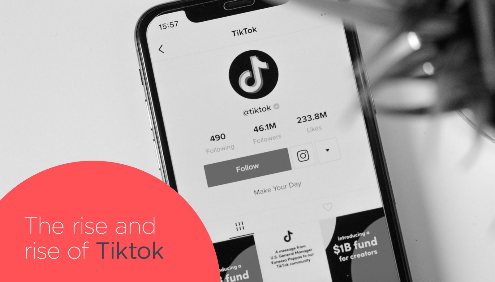 The Rise and Rise of TikTok