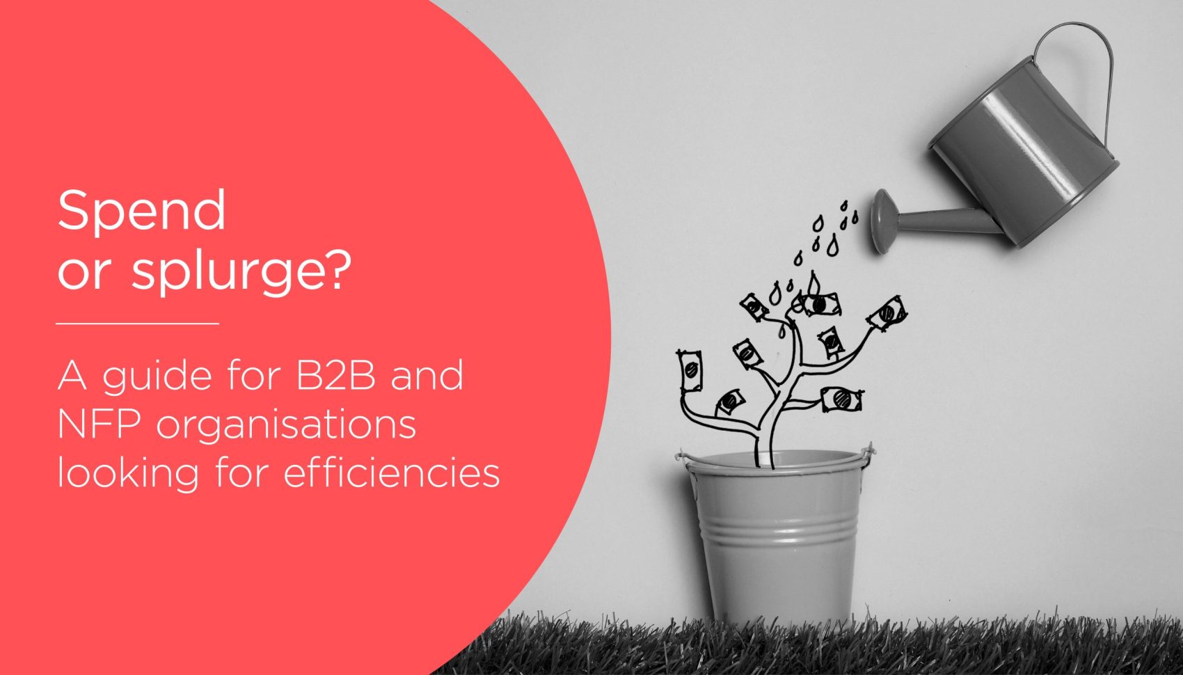 Spend or Splurge? A Guide for B2B and NFP Organisations Looking for Efficiencies
