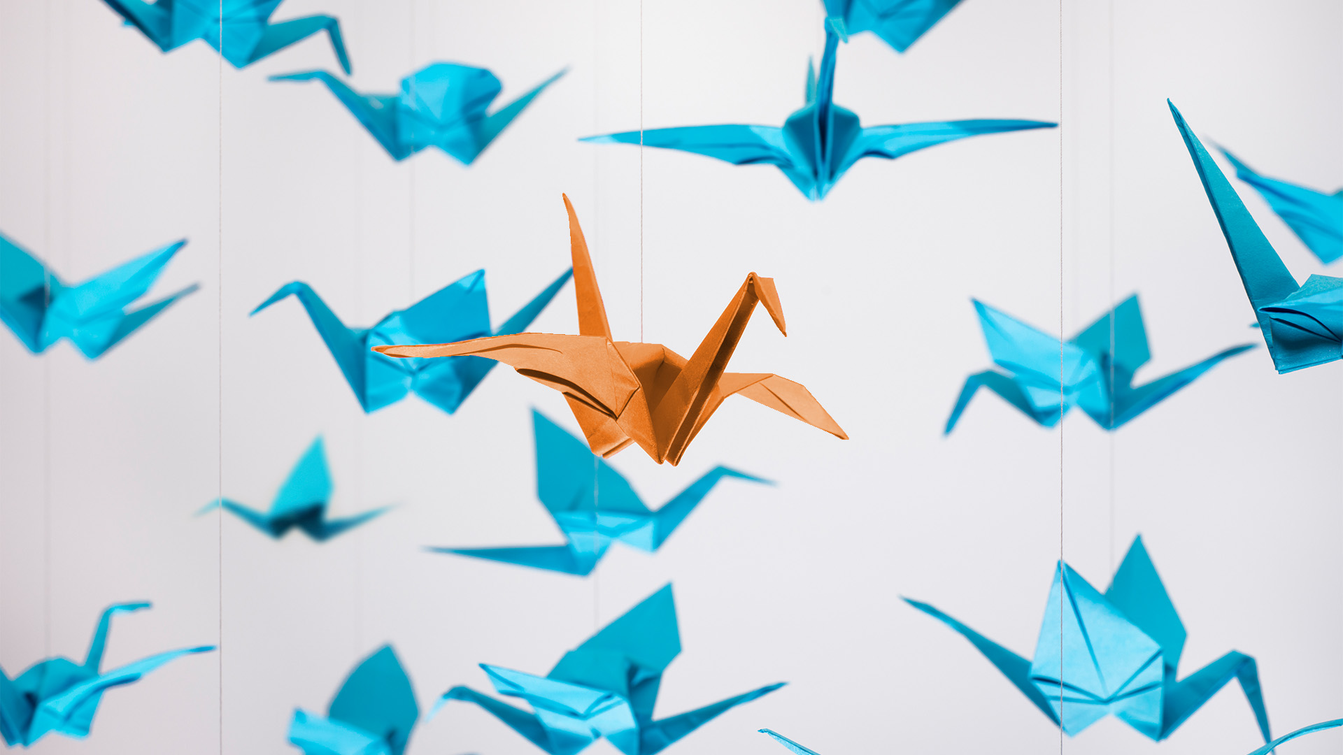 Australian marketing agency demand generation - origami cranes creative concept